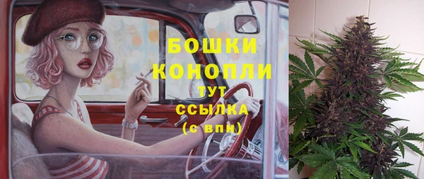 мяу мяу мука Белокуриха