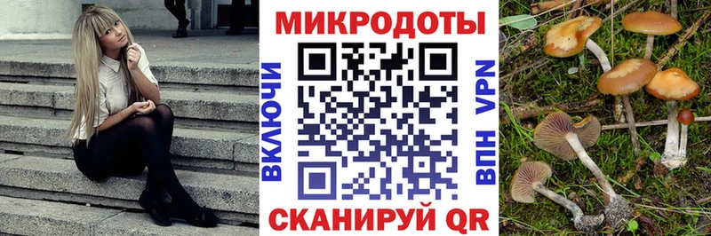 Псилоцибиновые грибы ЛСД  Курильск 