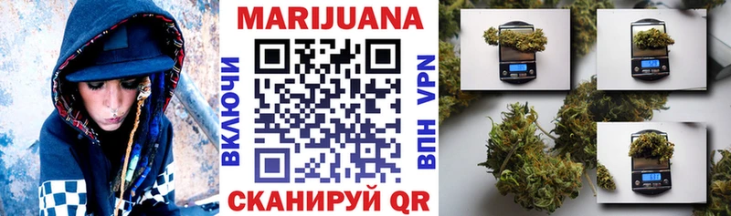 дарнет шоп  Курильск  Каннабис план 
